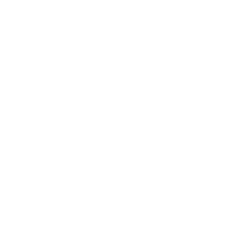 Client Support Icon