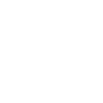 Client Support Icon