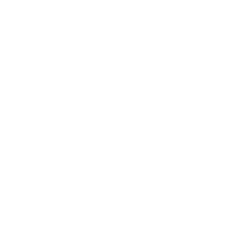 Client Support Icon