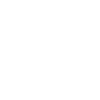 Client Support Icon